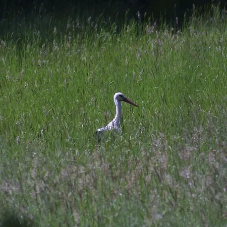 Casa Flipe - A ブラガンサ