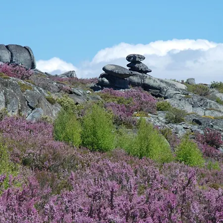 アパート Casa Flipe - A *