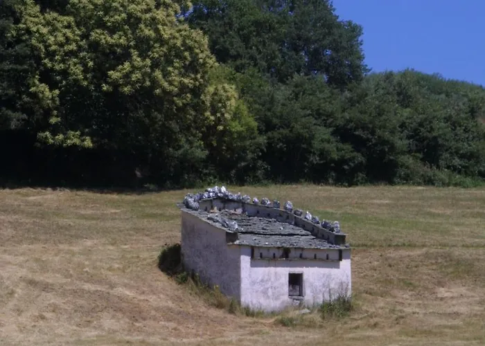 Διαμέρισμα Casa Flipe - A Bragança