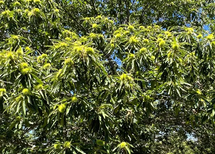 Casa Flipe - A Διαμέρισμα Bragança