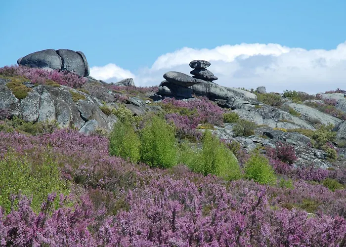 Διαμέρισμα Casa Flipe - A *